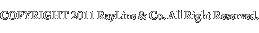 COPYRIGHT 2011 RayLine & Co. All Right Reserved.